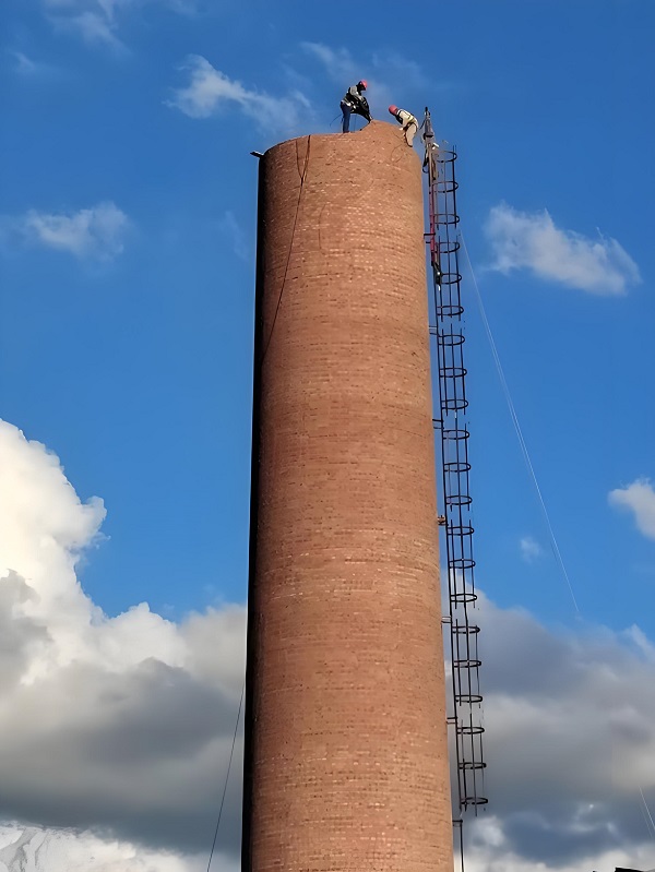 1771216377725909.jpeg 61f721063482bb10e7eec358d195541c.jpeg