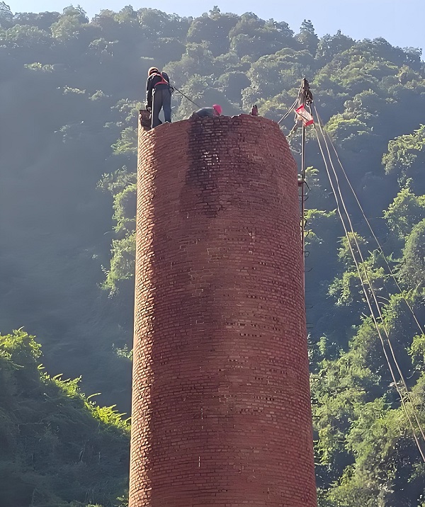 1775545684206541.jpeg cb07eab2f769907a95a4884e0d47c5ab.jpeg